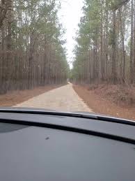 Adrian Basilio (@adrian.basilio52)'s videos with sonido original