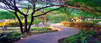 Beautiful Garden Of Five Scenes In Delhi Most Beautiful Recreational Area In Delhi Run To The Beautiful Garden Of Five Senses Romantic Places Places To Visit