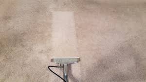 Walgreens pharmacy at 1675 w south st in ozark, mo. Carpet Cleaning Lake Ozark Mo Steampro Carpet Cleaning