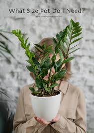 To ensure you've sized your pot correctly, you first need to know how to measure it; How To Choose The Right Sized Pot For Your Plant Creative Jewish Mom