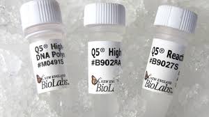 If there is a high fidelity sparknotes, shmoop guide, or cliff notes, you can find a link to each study guide below. Q5 High Fidelity Dna Polymerase Neb