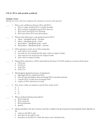Chapter 8 dna to proteins. Ch 8 Dna And Protein Synthesis
