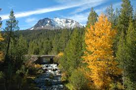 Hat Creek Pasteurinstituteindia Com