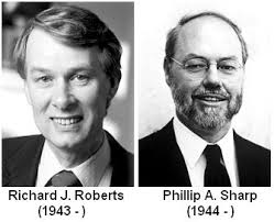 Sandwalk: Nobel Laureates: Richard Roberts and Phillip Sharp
