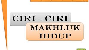 Joni memukul anjing itu hingga kesakitan. 9 Ciri Ciri Makhluk Hidup Pengertian Gambar Dan Penjelasannya