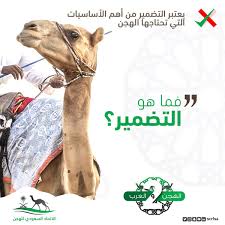 أخبار الاتحاد اليوم | مارتينيز الشباب خارج المواجهة العربية، وفسخ عقد أوفيني. Ø§Ù„Ø§ØªØ­Ø§Ø¯ Ø§Ù„Ø³Ø¹ÙˆØ¯ÙŠ Ù„Ù„Ù‡Ø¬Ù† ×'×˜×•×•×™×˜×¨ Ù…Ø³Ø§Ø¨Ù‚Ø© Ø§Ù„Ø§ØªØ­Ø§Ø¯ Ø§Ù„Ø³Ø¹ÙˆØ¯ÙŠ Ù„Ù„Ù‡Ø¬Ù† Ø§Ù„Ø³Ø¤Ø§Ù„ Ø§Ù„Ø¹Ø§Ø´Ø± Ø³Ø¤Ø§Ù„ ÙˆØ¬ÙˆØ§Ø¨ ÙŠØ¹ØªØ± Ø§Ù„ØªØ¶Ù…ÙŠØ± Ù…Ù† Ø£Ù‡Ù… Ø§Ù„Ø£Ø³Ø§Ø³ÙŠØ§Øª Ø§Ù„ØªÙŠ ØªØ­ØªØ§Ø¬Ù‡Ø§ Ø§Ù„Ù‡Ø¬Ù† Ù„Ù„Ø¯Ø®ÙˆÙ„ ÙÙŠ Ø§Ù„Ø³Ø¨Ø§Ù‚Ø§Øª ÙÙ…Ø§ Ù‡Ùˆ Ø§Ù„ØªØ¶Ù…ÙŠØ± Ø±ÙŠØªÙˆÙŠØª Ù„Ù„ØªØºØ±ÙŠØ¯Ø© Ù…ØªØ§Ø¨Ø¹Ø© Ø§Ù„Ø­Ø³Ø§Ø¨ Ø¥Ø¬Ø§Ø¨Ø© Ø§Ù„Ø³Ø¤Ø§Ù„ Ù…Ø¹ Ø§Ù„ÙˆØ³Ù…