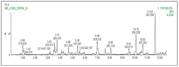 Image result for Cassipourea congoensis