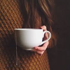 Hello Ancolie Autumn Aesthetic Autumn Photography Photo