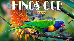 Cânticos ccb, o maior e melhor site com conteúdo evangélico totalmente gratuito, hinos da congregação cristã no brasil, relatório ccb, testemunhos, fotos de igrejas, tocados, orquestrados. Download Cantado Mp4 3gp Naijagreenmovies Netnaija Fzmovies