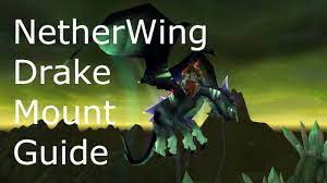 Netherwing Drake Guide - Youtube