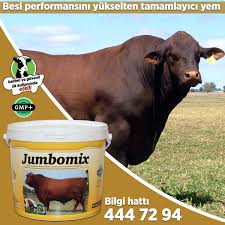 Jumbomix Yem Katki Premix