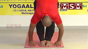 Surya Namaskar Benefits Part 03 Surya Namaskara Surya Namaskar Yoga Guide
