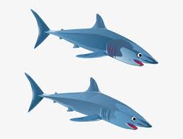 Namun saat ini lembar mewarna baik itu gambar kartun lucu bunga motif buah buahan maupun aneka gambar lainnya banyak dicari oleh orang dewasa. Clipart Shark Small Shark Gambar Ikan Hiu Kartun Transparent Png 600x540 Free Download On Nicepng