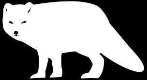 Find images of arctic fox. Fox Black And White Fox Black And White Clipart 2 Wikiclipart