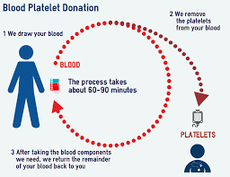 And i sure you will have enough time to learn about the java and j2me within 10 weeks. What Is Platelet Donation Delhi Association Of Voluntary Blood Donors