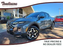 Image result for Blue Stone 2024 Santa Cruz