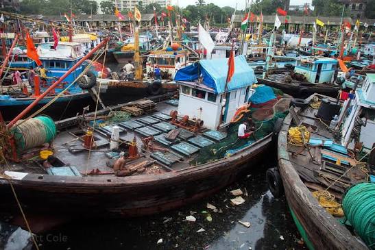 Brett Cole Photography | Men shovel ice into the hold of a fishing boat at Sassoon fishing dock, Mumbai, India. photo