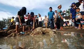 Contoh foto tiket masuk pantai air manis padang. Padang Terapkan Uang Elektronik Di Pantai Air Manis Republika Online