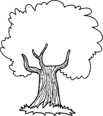 Nice Thoughtful Apple Tree Coloring Page Tree Coloring Page Fruit Coloring Pages Tree Line Drawing
