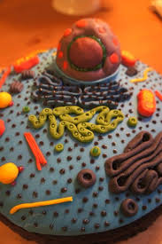 Maybe you would like to learn more about one of these? Reading Spot And Cell Cake Buda B