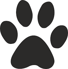cat paw png transparent cartoon jing fm cat paw png transparent cartoon jing fm