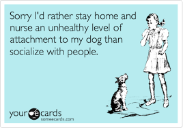 Sorry I D Rather Stay Home And Nurse An Unhealthy Level Of Attachment To My Dog Than Socialize With People Dog Quotes Funny I Love Dogs