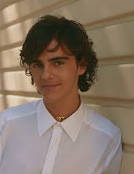 The next Timothée Chalamet? Meet Jack Dylan Grazer, HBO and 'It' star