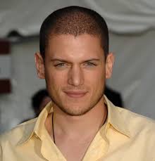 10 Black Celebs Who Successfully Pass For White Atlanta Black Star Wentworth Miller Prison Break Wentworth Miller The Human Stain