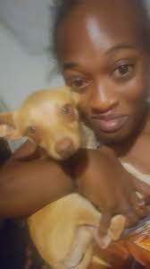 Mother searching for son Quinn in Utah