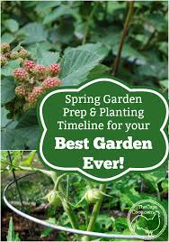 Spring Garden Prep Planting Timeline For Your Best Garden Ever The Cape Coop