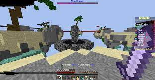 Hypixel bedwars did anyone notice the ign? We Did It We Killed The Dragon In Bed Wars Hypixel Minecraft Server And Maps