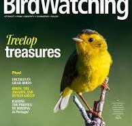 BirdWatching Magazine