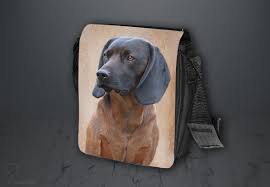 Image result for bavorský barvář