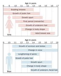 From breast buds and hair growth, to body sweat, discharge, and the first period. 8 Puberty Girls Ideas Puberty Girls Puberty Raising Girls