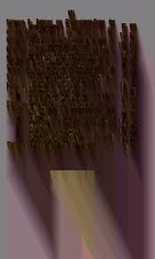 Image result for Hydrostachys myriophylla