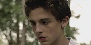 Timothée Chalamet's Homeland Character Explained (& Why He's The Absolute  Worst)