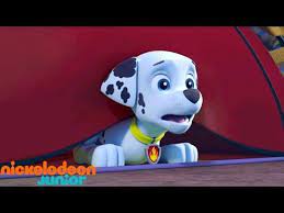 pin su chase et stella coloriages 101 dalmatiens gratuits