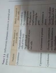 In animal cells cytokinesis occurs through the formation of a contractile actin ring that narrows the cell median plane more and more until it causes what is cytokinesis and when does it occur? Differences In Mitosis In Animal And Plant Cells Brainly In