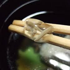 Image result for Brasenia schreberi