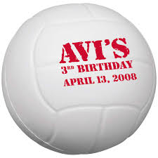 2.5 Stress Mini Volleyballs