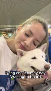 **English Below** Mình đã chính thức chuyển đến NYC! Dưới đây là cái mini  vlog về hành trình đưa Shiba Inu Shiro của mình đến Thành phố New York. Đó  là một chuyến đi có lẽ chỉ xảy ra một lần trong đời ...