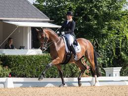 I have for sale my 17.5 isobell werth dressage saddle. Achleiten Isabell Werths Zehnter Sieg An Drei Wochenenden
