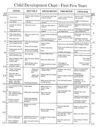 Infant Social Work Toolbox