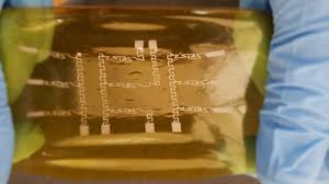 Israeli invents self-healing artificial electronic skin