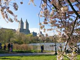 El Tiempo En Nueva York Y Que Ropa Llevarte Segun La Epoca En 2020 Viajes A New York Nueva York Turismo Nueva York