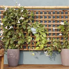 Panneau Treilli En Bois Droit Ajoure L 90 X H 180 Cm Marron Panneau Treillis Treillis Bois Treillis Jardin