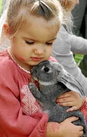 Poor crowd disappoints