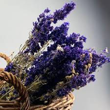 Most plants will eventually dry themselves, but knowing when to harvest and. Dried Flowers Grasses Herbs Uk Stock Next Day Delivery