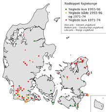 Desuden er rødtoppet fuglekonge generelt mere markant farvet på halssiderne : Rodtoppet Fuglekonge Regulus Ignicapilla Dansk Ornitologisk Forening