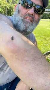 Kristie Sue Kellogg Garman (@kristie_garman) • Instagram photos and videos